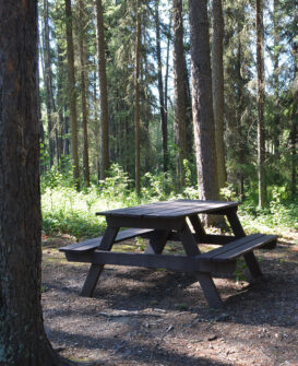 Outdoor Picnic Area - Whitecout Lions Campground - Day Use Area